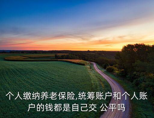 個人繳納養(yǎng)老保險(xiǎn),統(tǒng)籌賬戶和個人賬戶的錢都是自己交 公平嗎