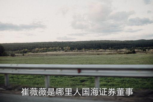 廣西投資集團崔薇薇,廣投資本董事長崔薇薇