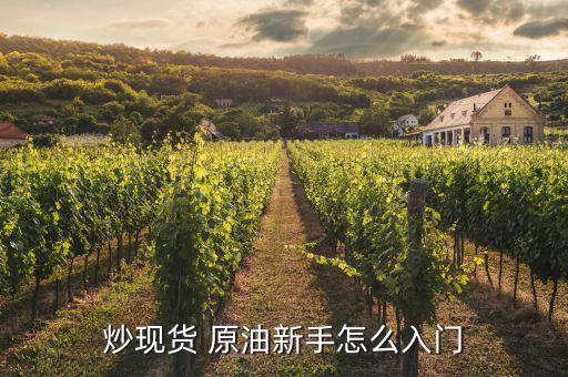 炒現貨 原油新手怎么入門
