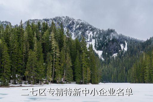 二七區(qū)專(zhuān)精特新中小企業(yè)名單
