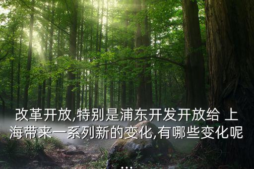 上?，F(xiàn)代服務業(yè)發(fā)展