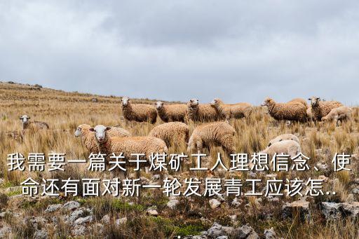 我需要一篇關(guān)于煤礦工人理想信念、使命還有面對新一輪發(fā)展青工應(yīng)該怎...