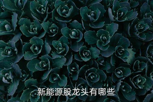 甘肅太陽(yáng)能股票代碼,太陽(yáng)能光伏發(fā)電股票代碼