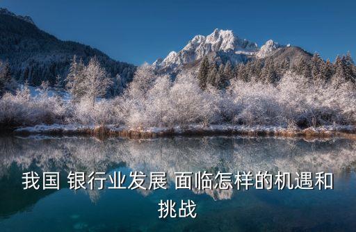銀行所面臨的環(huán)境,銀行面臨的聲譽(yù)風(fēng)險環(huán)境