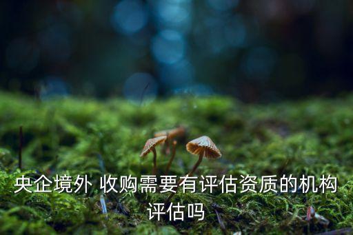 收購評(píng)沽公司