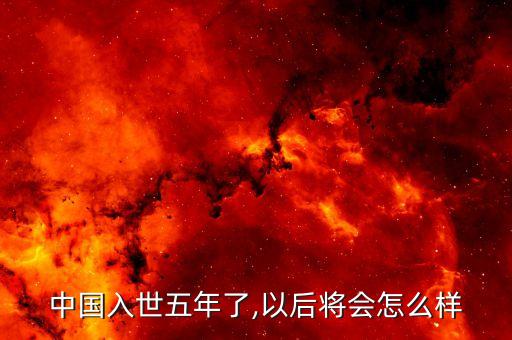 中國入世五年了,以后將會(huì)怎么樣