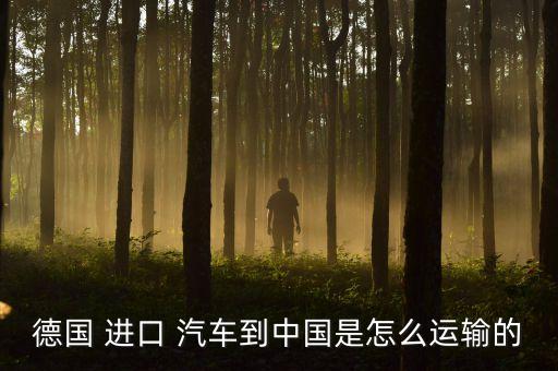德國(guó) 進(jìn)口 汽車(chē)到中國(guó)是怎么運(yùn)輸?shù)? class=