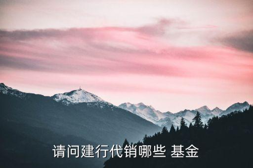 請(qǐng)問建行代銷哪些 基金