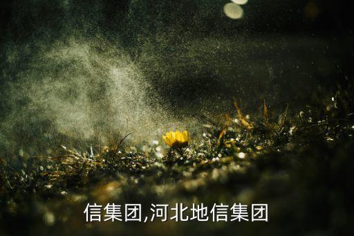 正得信集團,河北地信集團