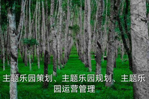 主題樂(lè)園策劃、主題樂(lè)園規(guī)劃、主題樂(lè)園運(yùn)營(yíng)管理