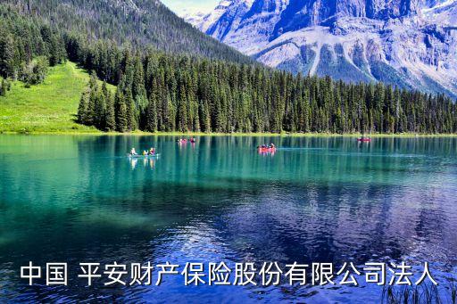 中國 平安財(cái)產(chǎn)保險(xiǎn)股份有限公司法人
