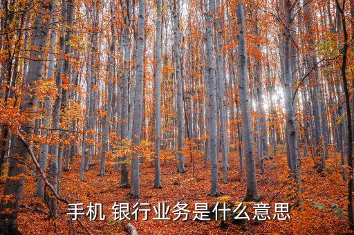  手機 銀行業(yè)務(wù)是什么意思