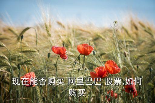 現在能否購買 阿里巴巴 股票,如何購買