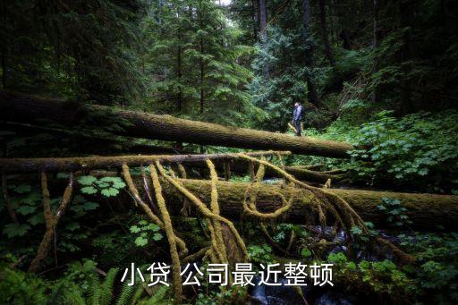 小額貸款公司風險分散,根據風險分散,銀行不行貸款