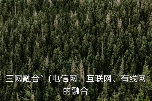 三網(wǎng)融合”(電信網(wǎng)、互聯(lián)網(wǎng)、有線網(wǎng)的融合