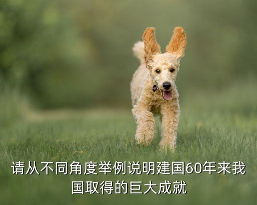 請(qǐng)從不同角度舉例說明建國(guó)60年來(lái)我國(guó)取得的巨大成就