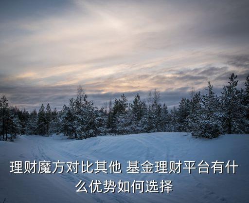 理財(cái)魔方對比其他 基金理財(cái)平臺(tái)有什么優(yōu)勢如何選擇