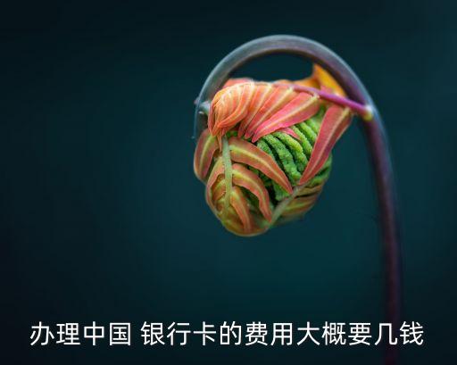 辦理中國(guó) 銀行卡的費(fèi)用大概要幾錢