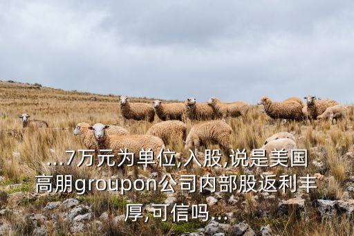 ...7萬元為單位,入股,說是美國高朋groupon公司內部股返利豐厚,可信嗎...