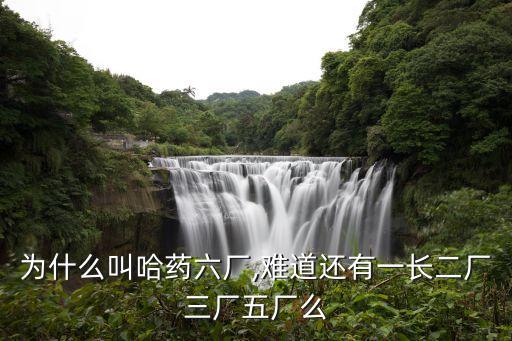 為什么叫哈藥六廠,難道還有一長(zhǎng)二廠三廠五廠么