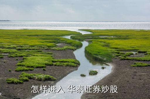 華泰股票網上開戶,華泰用什么app股票開戶1號0