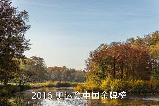 里約奧運(yùn)會(huì)中國(guó)奪金,重生奧運(yùn)會(huì)奪金的小說
