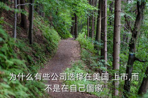 為什么有些公司選擇在美國(guó) 上市,而不是在自己國(guó)家
