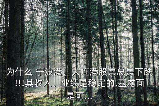 為什么 寧波港、大連港股票總是下跌!!!其收入、業(yè)績(jī)是穩(wěn)定的,基本面是可...