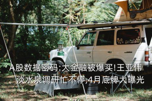 A股數(shù)據(jù)密碼:大金融被爆買!王亞偉、淡水泉調(diào)研忙不停,4月底牌大曝光...