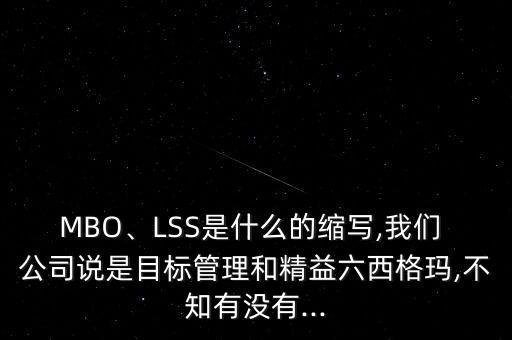 MBO、LSS是什么的縮寫,我們 公司說是目標管理和精益六西格瑪,不知有沒有...