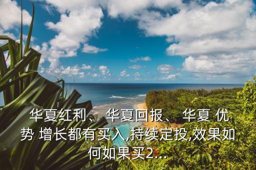  華夏紅利、 華夏回報(bào)、 華夏 優(yōu)勢(shì) 增長都有買入,持續(xù)定投,效果如何如果買2...