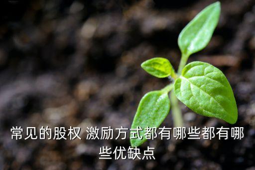 常見的股權(quán) 激勵方式都有哪些都有哪些優(yōu)缺點